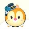 ゴシッククラリス