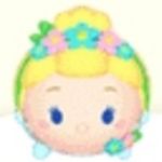 フラワーシンデレラ
